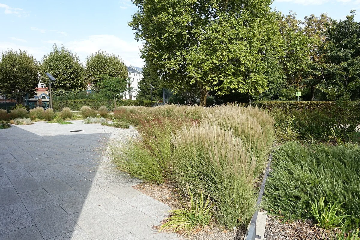 Le jardin Hoche dans le secteur du parking